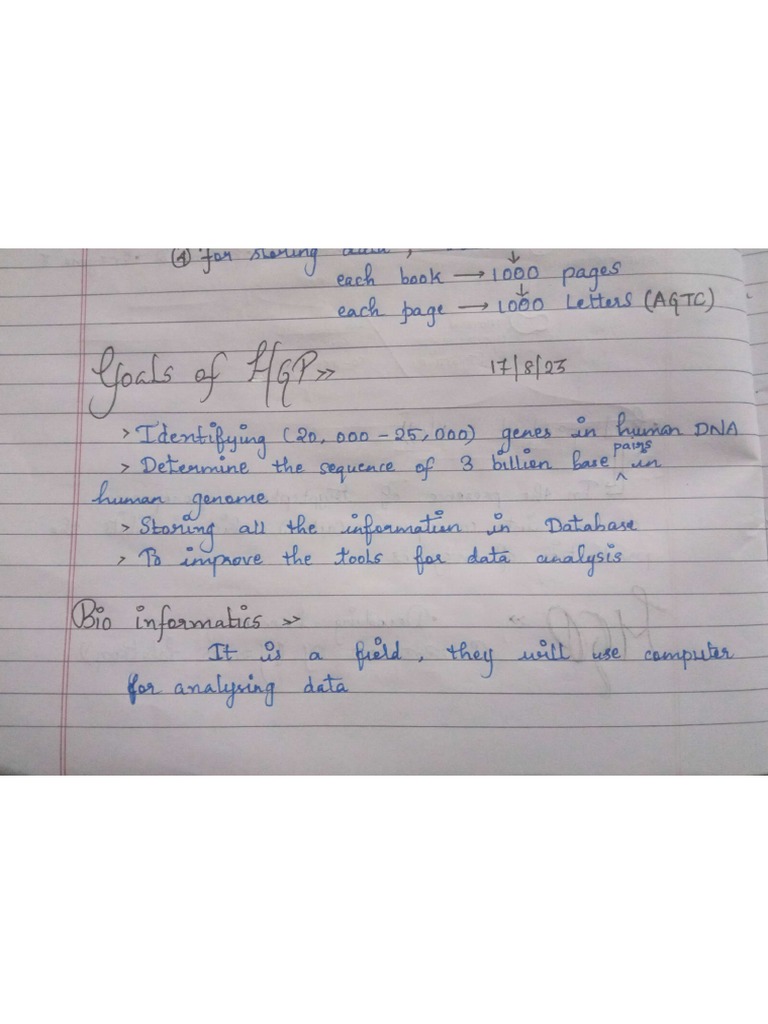 Bot 3 | PDF