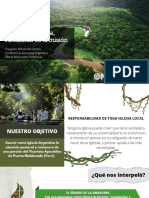 Proyecto Amazonia