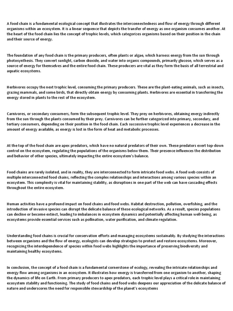 Food Chain Biology Diagrams