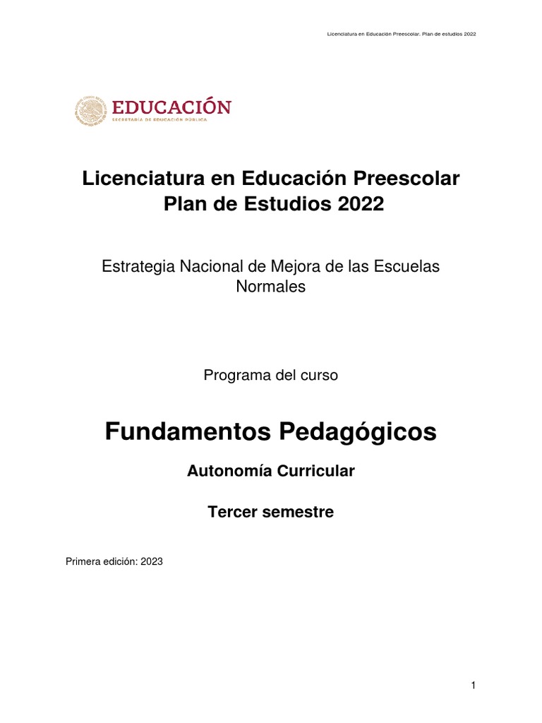 Fundamentos del Plan de Estudios 2022 | PDF | Plan de estudios ...