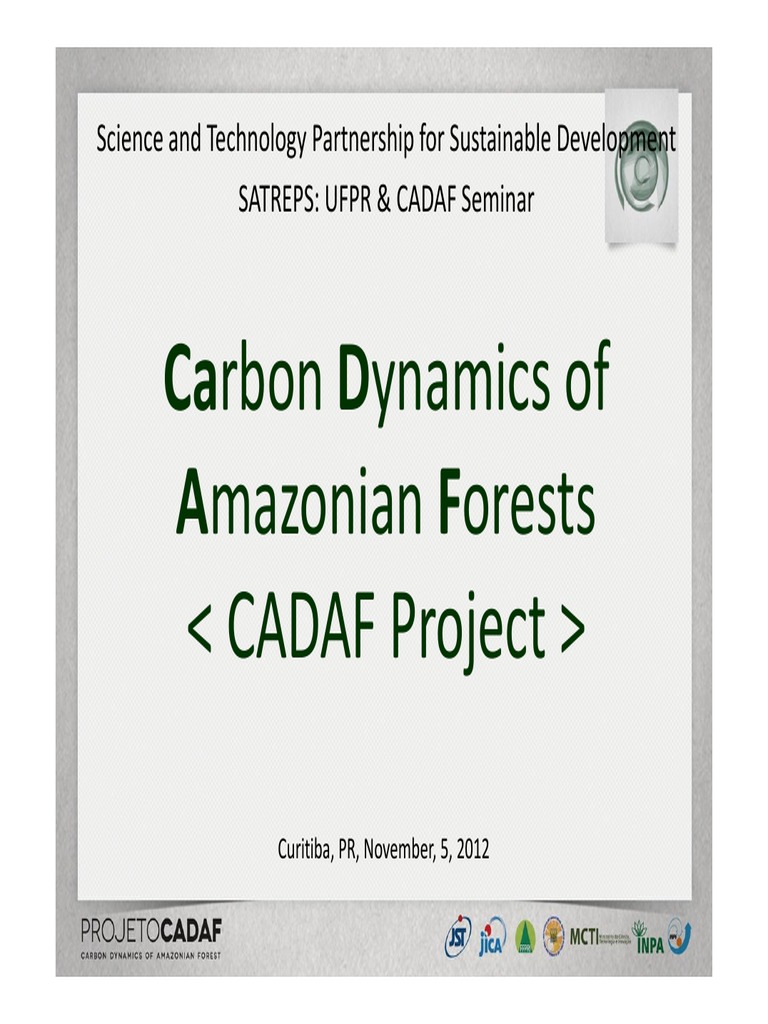 Amazon Forest Carbon Dynamics Seminar | PDF | Reducing Emissions From ...