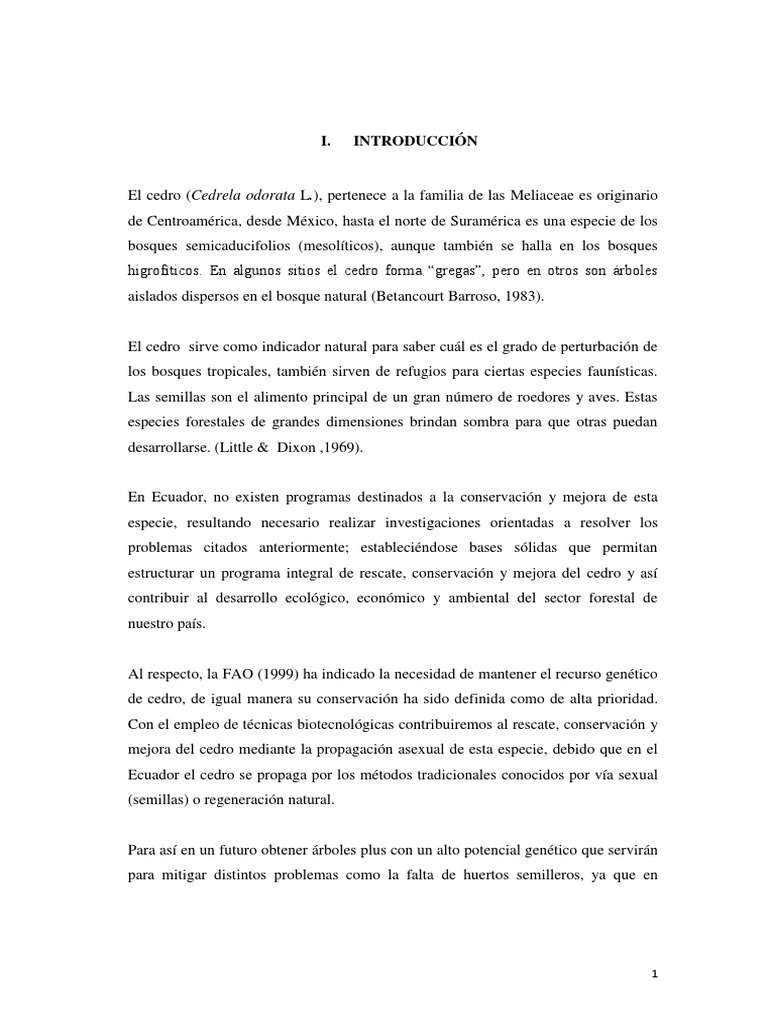 T uteq 0017 pdf