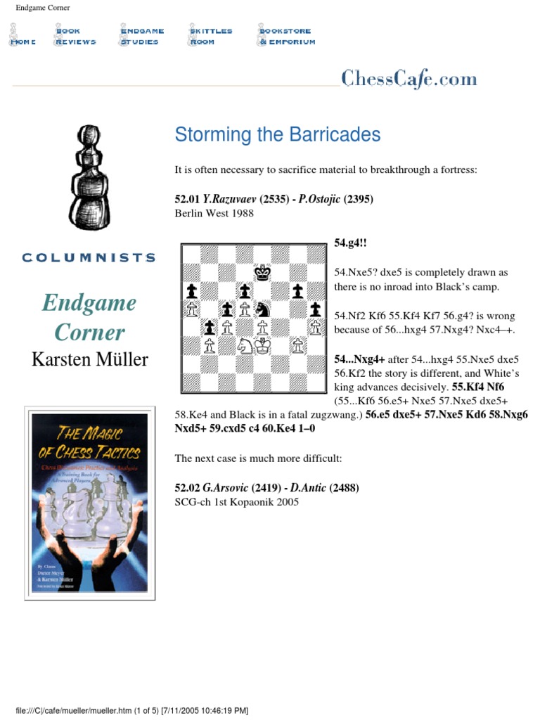 Endgame Strategies and Analysis | PDF | Chess Theory | Chess