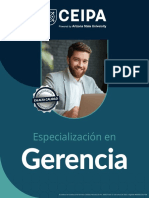 PDF Gerencia