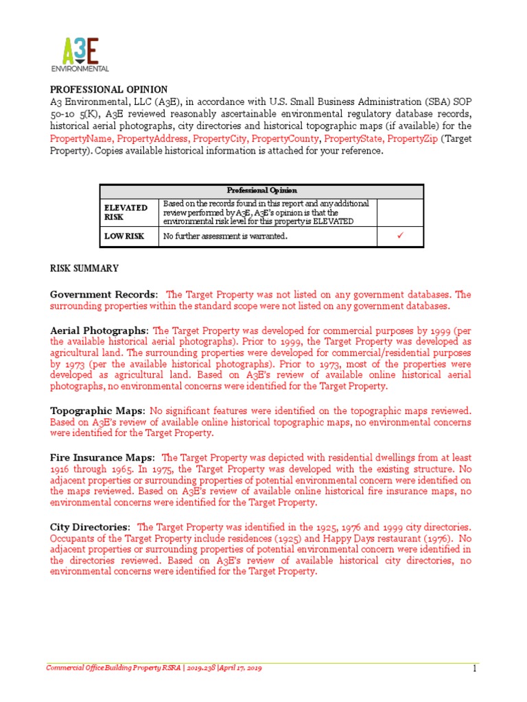 SBA RSRA Template Download PDF