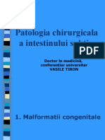 18.Maladii chirurgicale a intestinului subtire