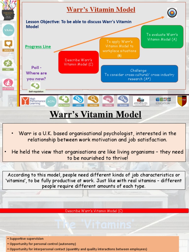 Understanding Warr's Vitamin Model | PDF | Business