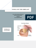 Carcinoma of The Breast