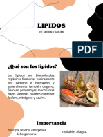 Lipidos Diapositivas