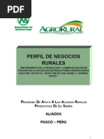 PROYECTO_ TRUCHAS. PASCOFINAL[1]