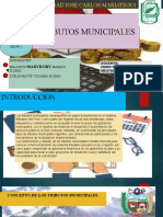 Grupo 8 Los Tributos Municipales