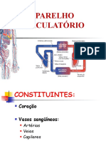 11 - Sistema Circulatório