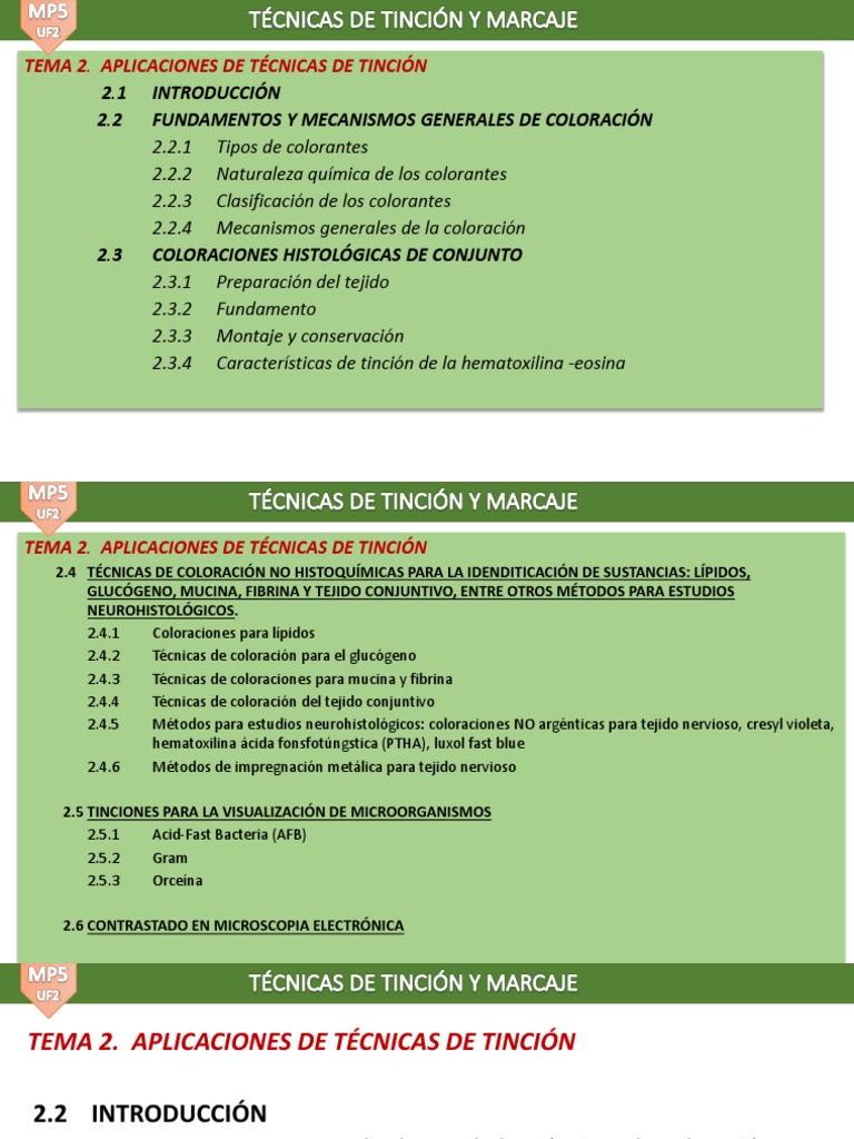 Mp5 uf2 tema 2 aplicaci n de t cnicas de tinci n pdf tinci n