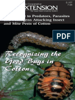 Field Guide Pest Cotton