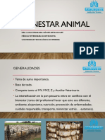 Bienestar Animal