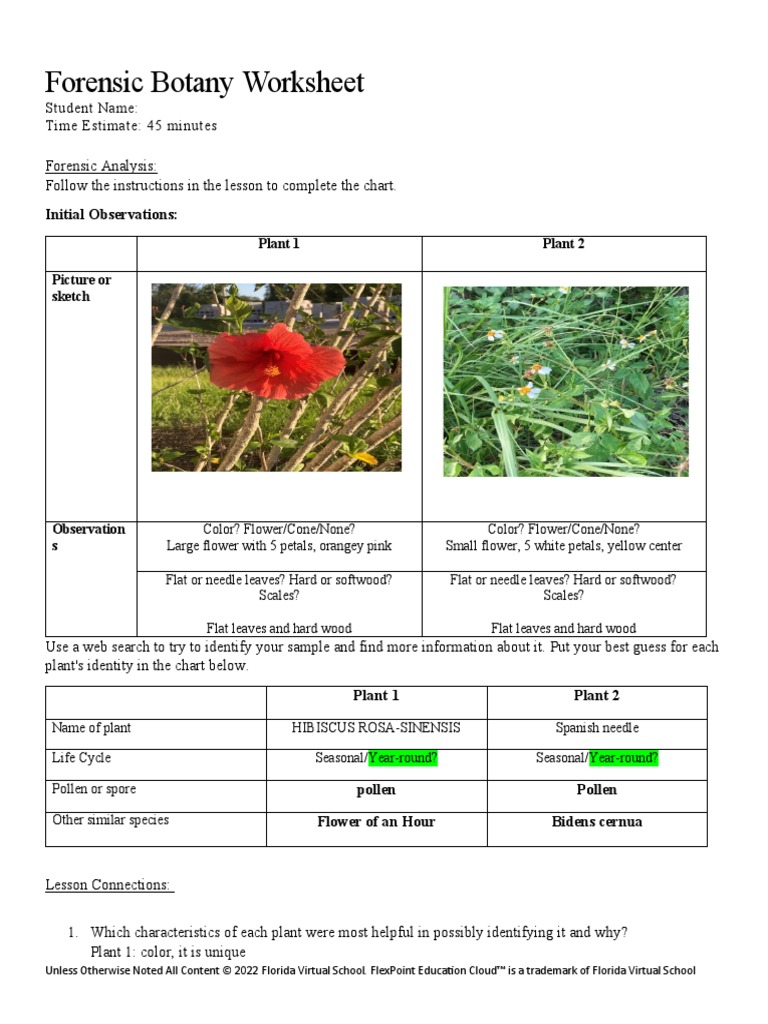 02 05 Forensic Botany Worksheet PDF Flowers Plants