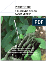 PROYECTO PANZA VERDE