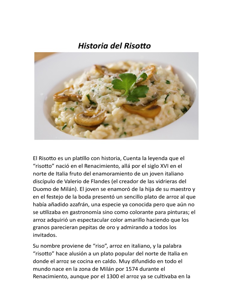 Historia Del Risotto PDF