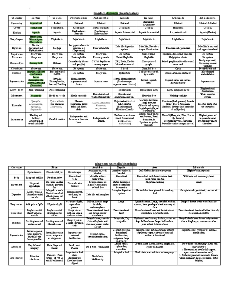 Overview of Animal Kingdom Phyla | PDF | Fish | Gill
