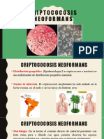 4.5. Infecciones Micoticas Del S.N.C.