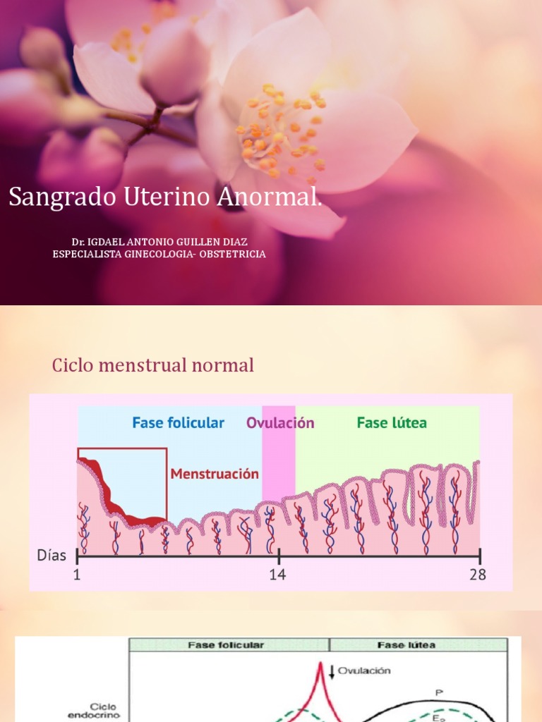Sangrado Uterino Anormal: Causas y Tratamiento | PDF | Ciclo menstrual ...
