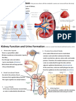 Kidney Failure and Exceretory System Poster