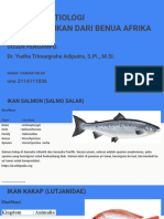 10 Spesies Ikan Dari Benua Afrika - Haidar Hilmi - 2114111036