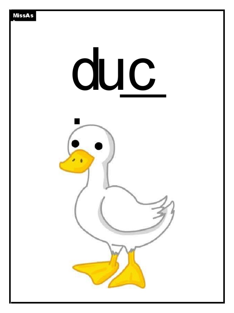 PHONICS CK E U R PDF