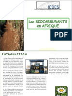 Les Biocarburants en Afrique