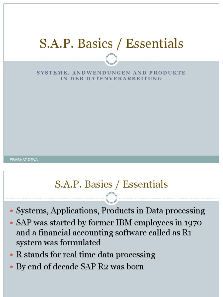 2 SAP Basics-Notes | PDF