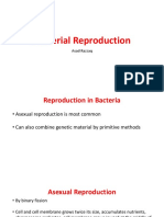 5 Bacterial Reproduction