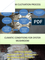 Oyster PPT San