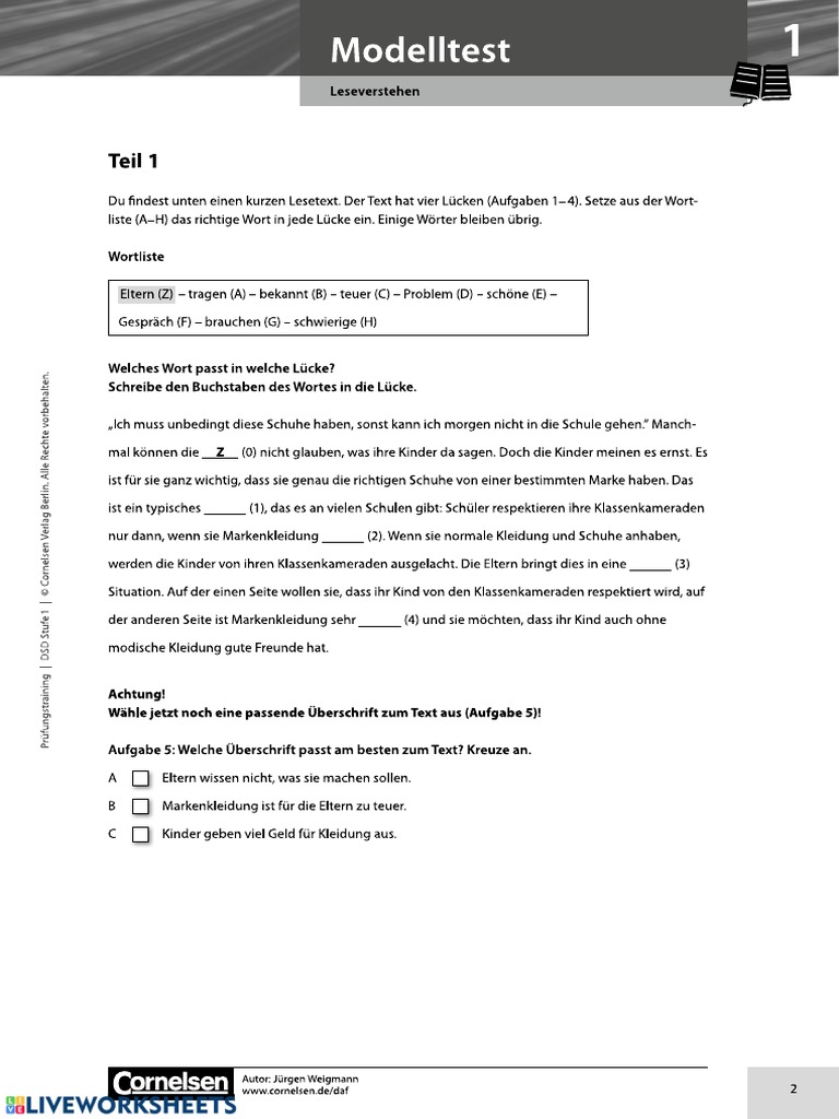 dsd1 Modelltest | PDF