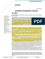 Automated Recognition of Pain