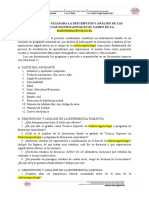 ANEXO #9 Cuestionario Guía para La Descripción y Análisis de Las Experiencias Significativas