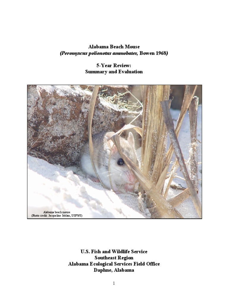 Alabama Beach Mouse 5-Year Review | PDF | Law