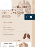 Aparato Respiratorio