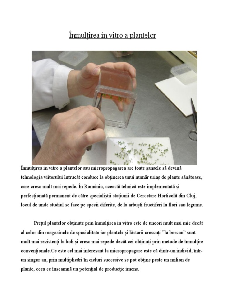Inmultirea in Vitro A Plantelor | PDF
