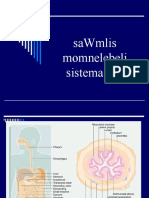 Sawmlis Momnelebeli Sistema 1