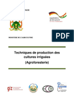Techniques de Production Des Cultures Irriguées (Agroforesterie)