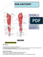 ALL Clinicals OF LOWER LIMB (Anatomy)