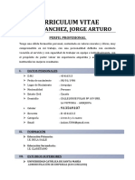 Curriculum Vitae Salas Sanchez, Jorge Arturo