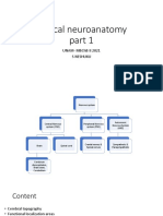 Clinical Neuroanatomy Part 1 (Original)