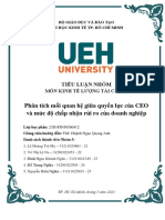 Phân tích mối quan hệ giữa quyền lực của CEO và mức độ chấp nhận rủi ro của doanh nghiệp