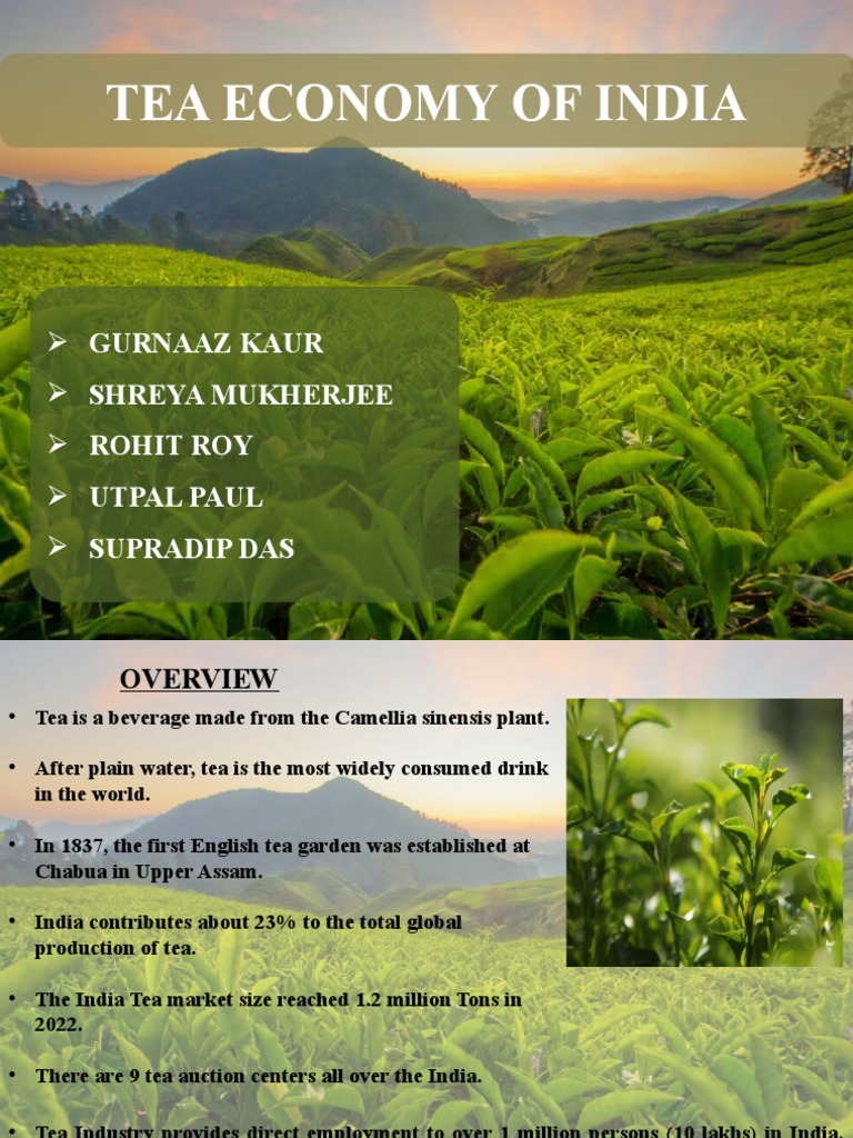 Presentation TEA ECONOMY PDF Tea Labour Economics