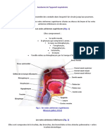 Infections Bronchopulmonaire