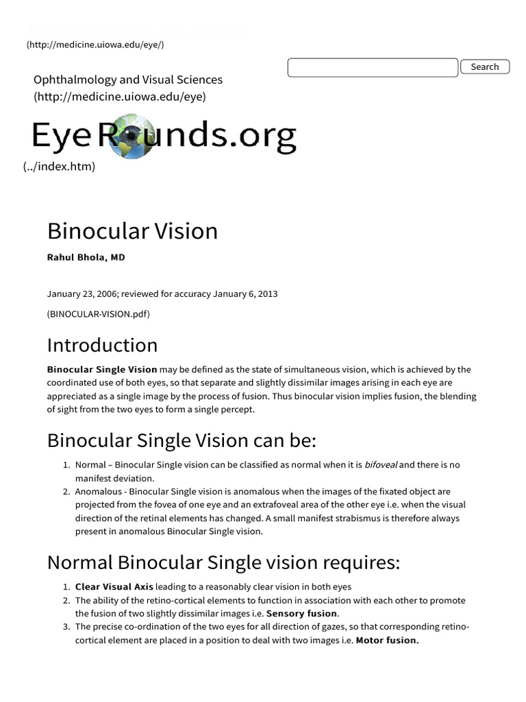 Binocular Vision PDF Visual Perception Perception