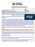 Matemática Relatório Bimestral Práticas Experimentais CEEI2023 - Modelo