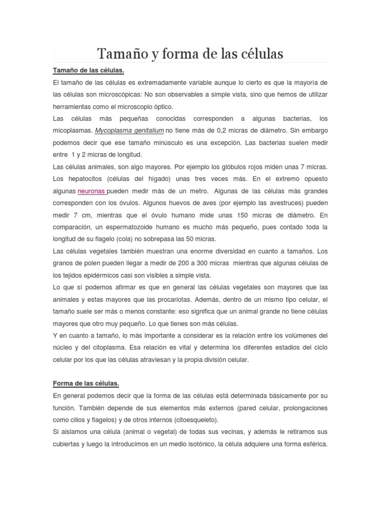 Diversidad de Tamaño y Forma Celular | PDF