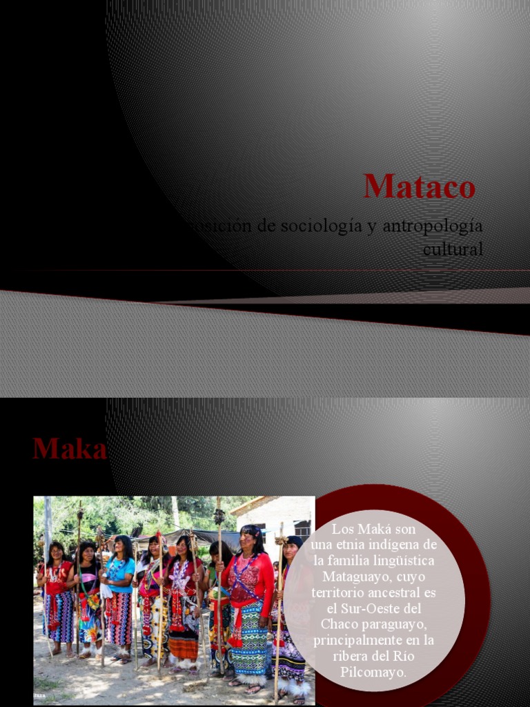 Mataco | Descargar gratis PDF | Paraguay | Chamanismo